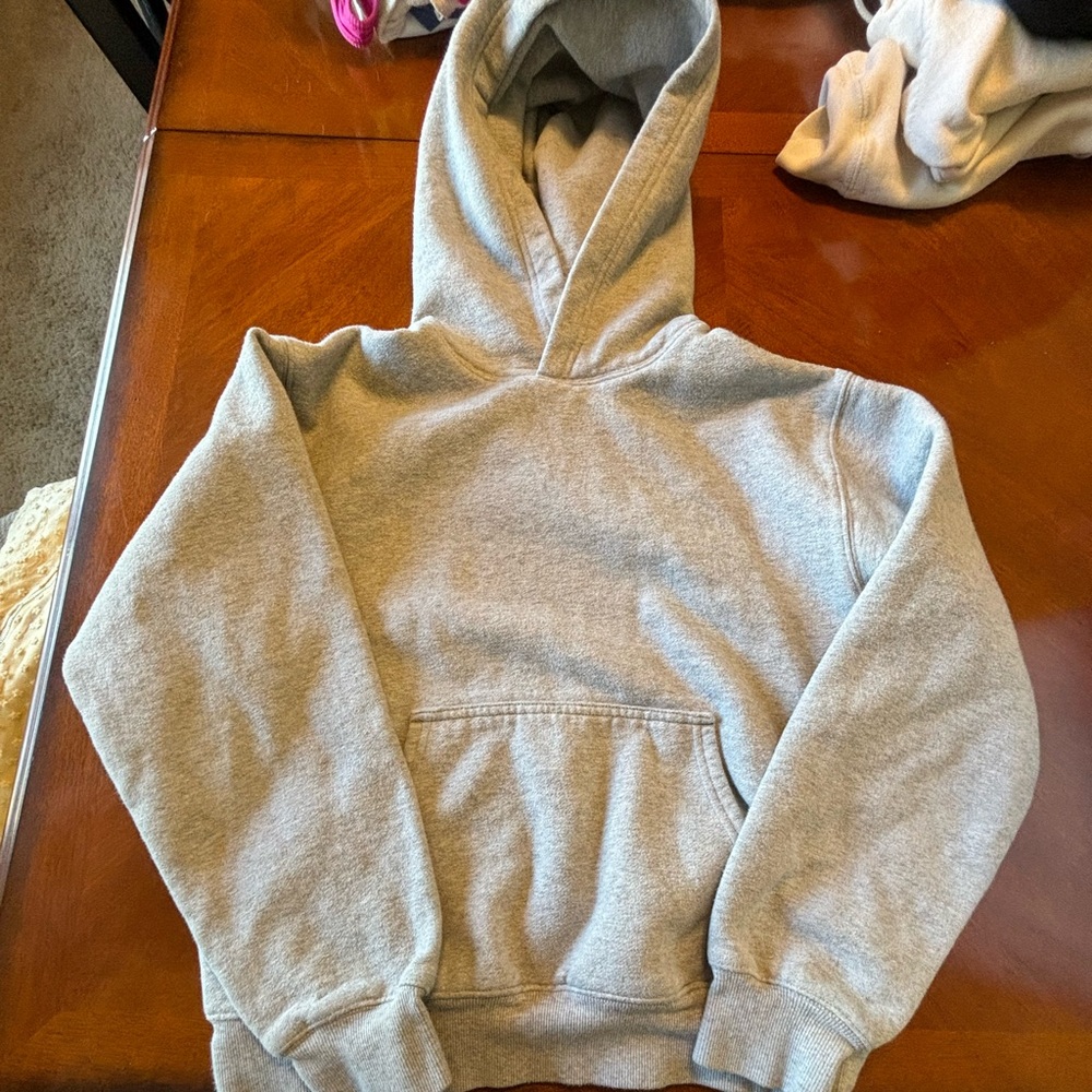 Aritzia Gray Hoodie Sweatshirt